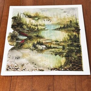 Bon Iver Vinyl Record